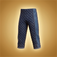 Legguards of the Living Crystal, item from Ashram Online