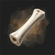 Bleached Bone, item from Ashram Online