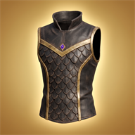 Jerkin of the First Veil, item from Ashram Online